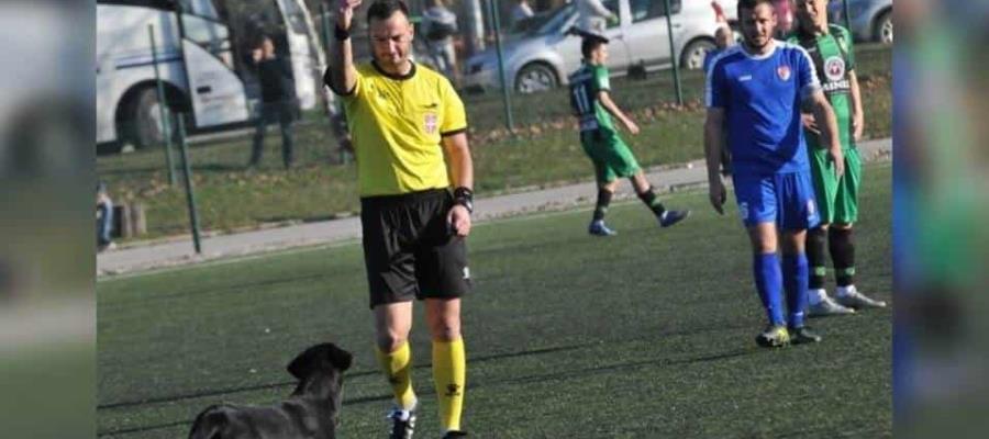 Invadió la cancha en varios ocasiones y árbitro lo expulsó… era un perro