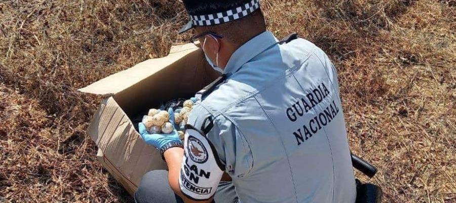 Rescata Guardia Nacional 1,250 huevos de tortuga marina, en Oaxaca Rescata Guardia Nacional 1,250 huevos de tortuga marina, en Oaxaca