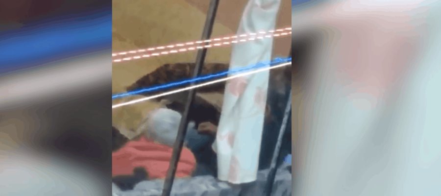 Persona de la tercera edad es agredida aparentemente por su hijo en la alcaldía de Tlalpan