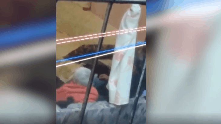 Dice fiscalía capitalina conocer ubicación del agresor de la abuelita de Tlalpan