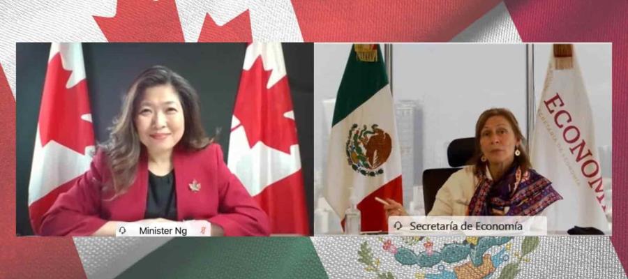 Preocupa a Canadá iniciativa de reforma eléctrica promovida por el gobierno mexicano Preocupa a Canadá iniciativa de reforma eléctrica promovida por el gobierno mexicano