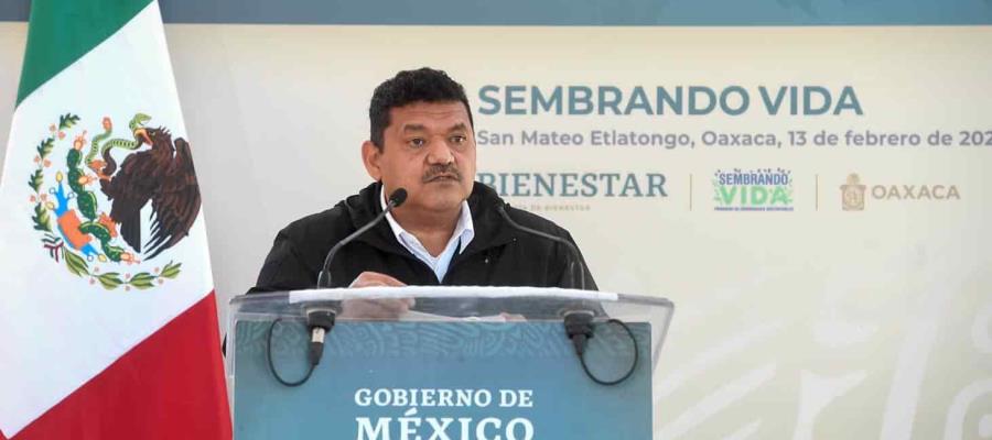 En marzo se pagarán tres meses adelantados a beneficiarios de “Sembrando Vida”, anuncia Javier May 