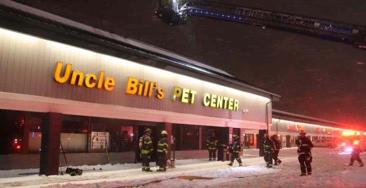 Incendio en tienda de mascotas de Indianápolis provoca la muerte de 100 animales
