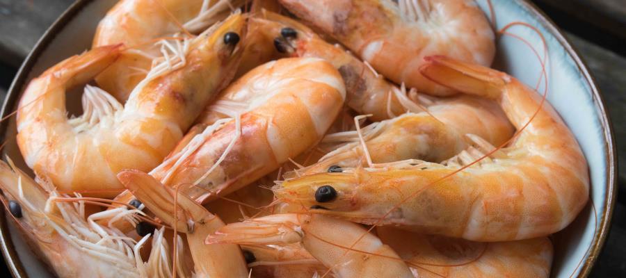 Iniciará el 15 de marzo veda de camarón en el Pacífico