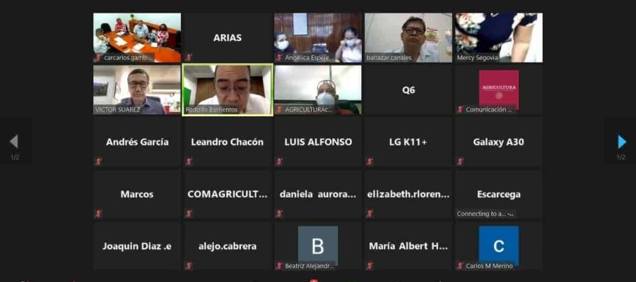 Admite SADER “retraso considerable” en apoyo a productores Tabasqueños Admite SADER “retraso considerable” en apoyo a productores Tabasqueños