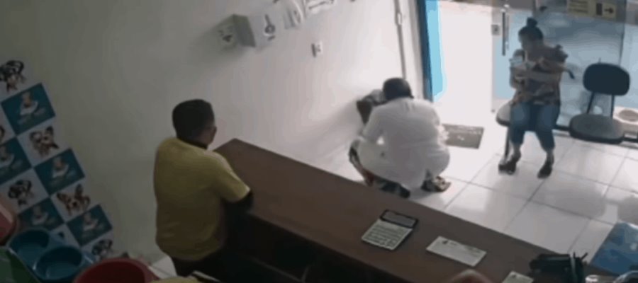Perrito ingresa solo a pedir ayuda en una veterinaria de Juazeiro do Norte, en Brasil Perrito ingresa solo a pedir ayuda en una veterinaria de Juazeiro do Norte, en Brasil