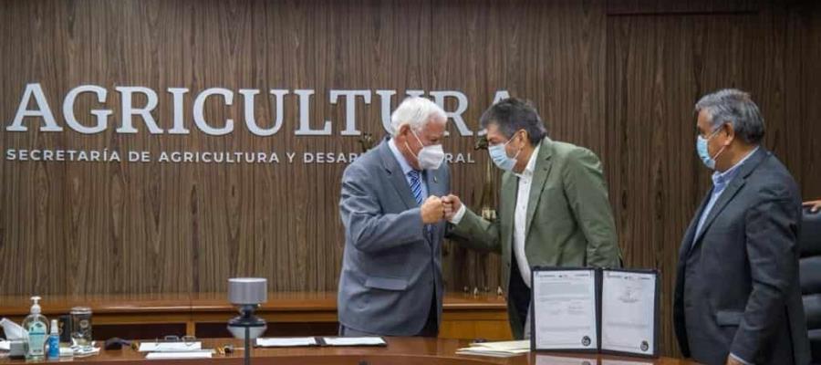 Compromete Gobierno Federal financiamientos, capacitación y turismo para desarrollar comunidades por donde pasará el Tren Maya