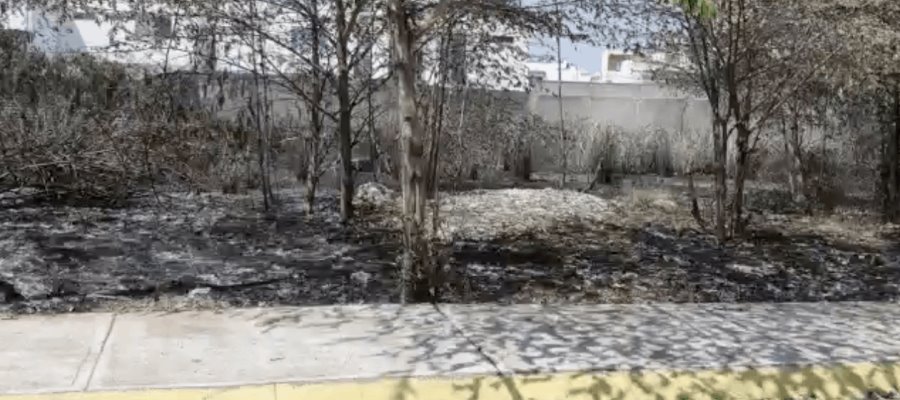 Se incendian pastizales en fraccionamiento Blancas Mariposas Se incendian pastizales en fraccionamiento Blancas Mariposas