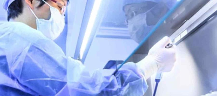 COVID-19 se originó en un laboratorio de Wuhan entre septiembre u octubre de 2019: exdirector de los CDC de EE. UU. COVID-19 se originó en un laboratorio de Wuhan entre septiembre u octubre de 2019: exdirector de los CDC de EE. UU.