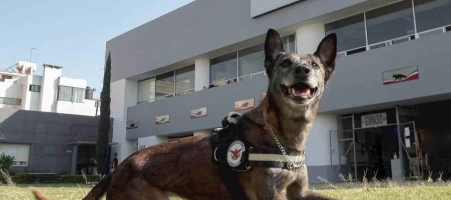 Arranca la construcción en Tabasco de 3 cuarteles de la Guardia Nacional; estarán listos antes de agosto