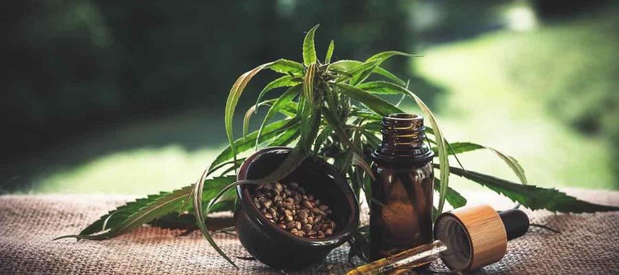 Nueva York legaliza el consumo de la marihuana con fines recreativos Nueva York legaliza el consumo de la marihuana con fines recreativos