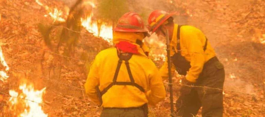 Emiten declaratoria de emergencia en NL por incendios forestales
