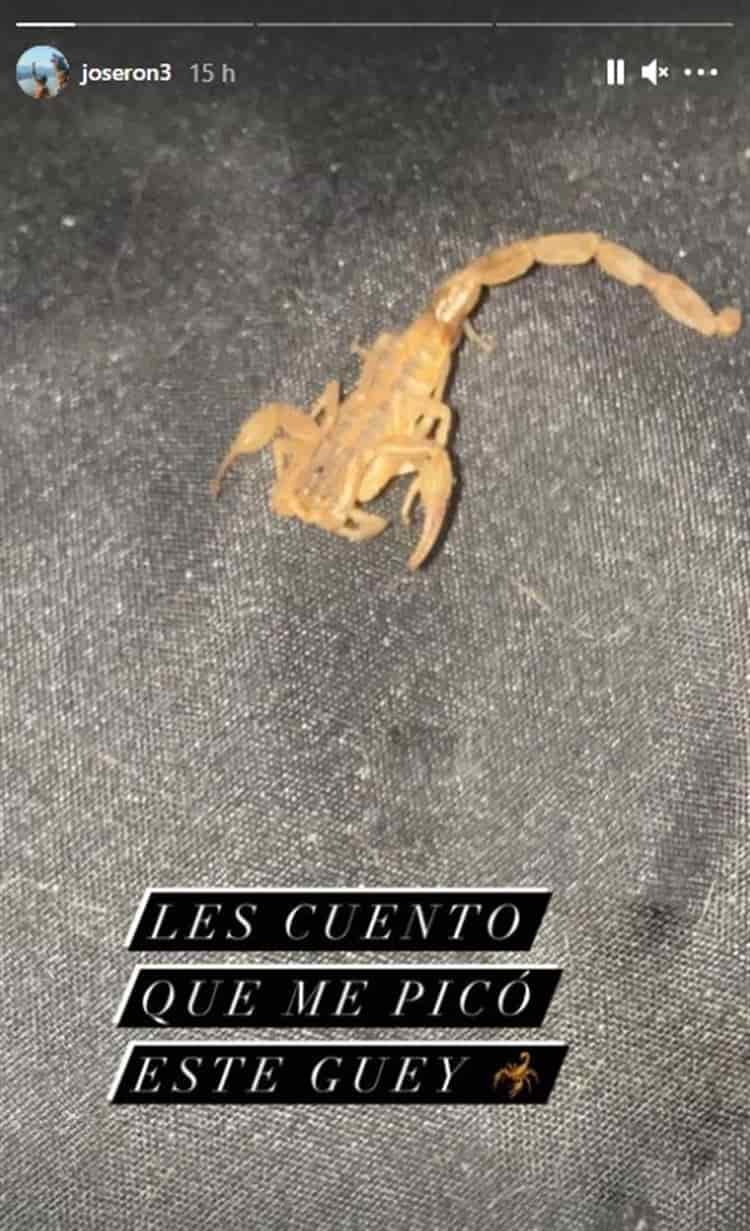 imagen-cuerpo imagen-cuerpo