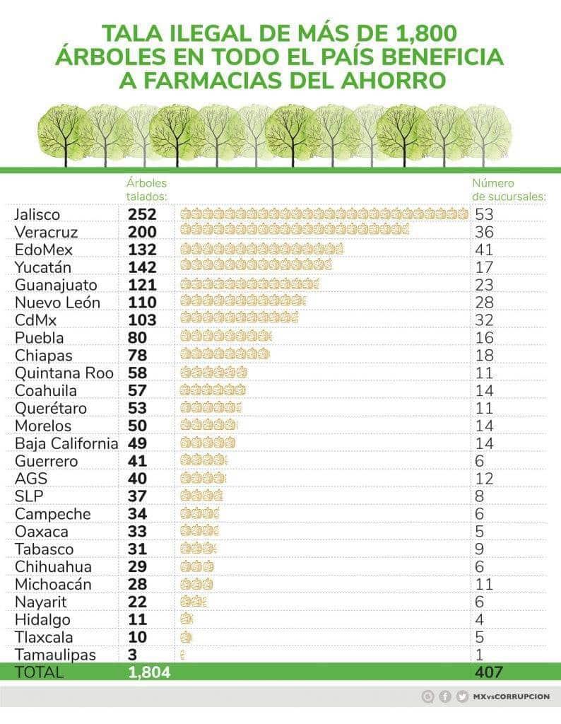 Acusa Mexicanos Contra la Corrupción a cadena de farmacias de obstaculizar denuncias por tala de árboles