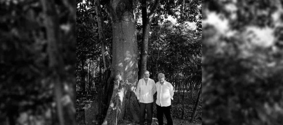 Evalúa AMLO con Carlos Slim avances en la construcción del Tren Maya