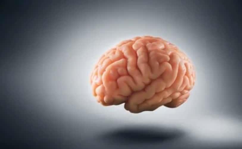 Descubren científicos que el Covid-19 no infecta el cerebro… pero causa daños neurológicos