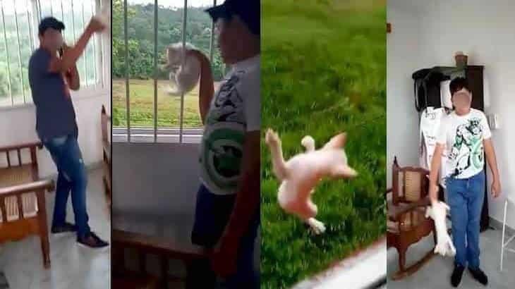 Preocupa a “Caninos 911” que no se haya hecho justicia para ningún caso de maltrato animal