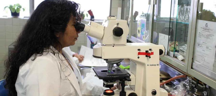 Como parte de un estudio, “reinfectarán” a personas que ya tuvieron COVID-19 Como parte de un estudio, “reinfectarán” a personas que ya tuvieron COVID-19