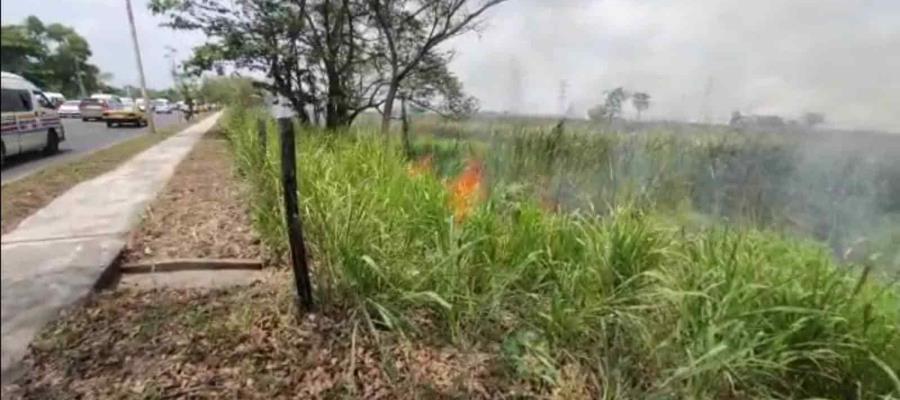 Vuelve a incendiarse pastizal de la zona de El Negro