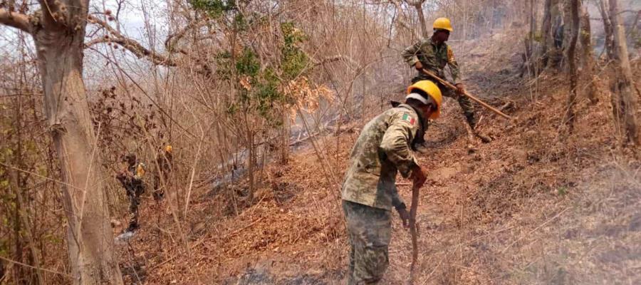 En situación de emergencia se encuentra Guerrero por incendios forestales activos: Gobierno