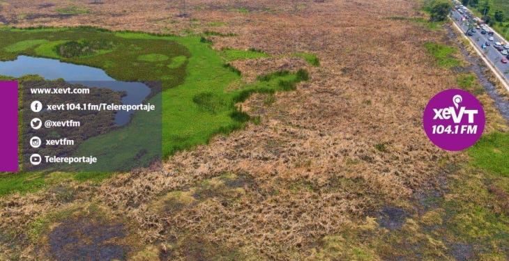 En “cenizas” quedaron ocho hectáreas de la Laguna El Negro tras incendio En “cenizas” quedaron ocho hectáreas de la Laguna El Negro tras incendio