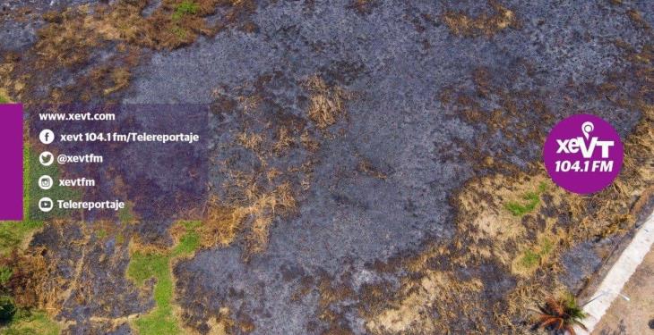 En “cenizas” quedaron ocho hectáreas de la Laguna El Negro tras incendio En “cenizas” quedaron ocho hectáreas de la Laguna El Negro tras incendio