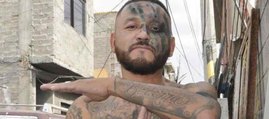 Revoca Sala Superior, candidatura de “El Mijis” a diputado federal plurinominal de MORENA