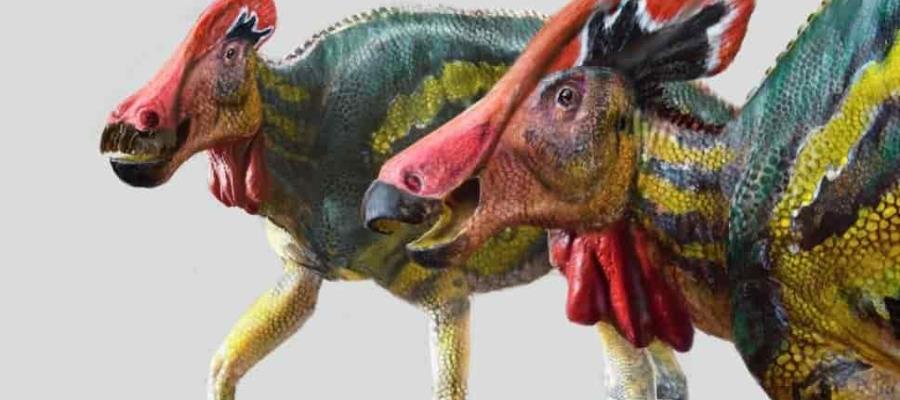 Identifica el INAH nueva especie de dinosaurio encontrado en Coahuila Identifica el INAH nueva especie de dinosaurio encontrado en Coahuila