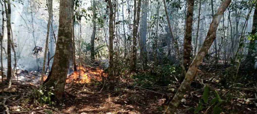 Reporta CONAFOR 23 incendios forestales activos en 9 estados del país