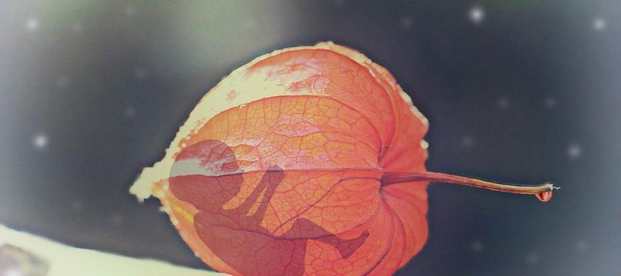 Promulga Texas ley que impide el aborto después de seis semanas de gestación