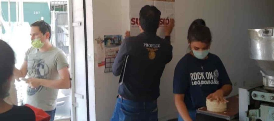 Realiza Profeco verificación en tortillerías de 38 ciudades  del país, por aumento injustificado del precio