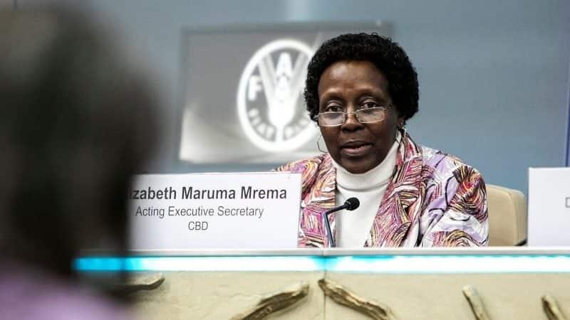 El mundo no alcanzará los objetivos de la Agenda 2030: ONU 