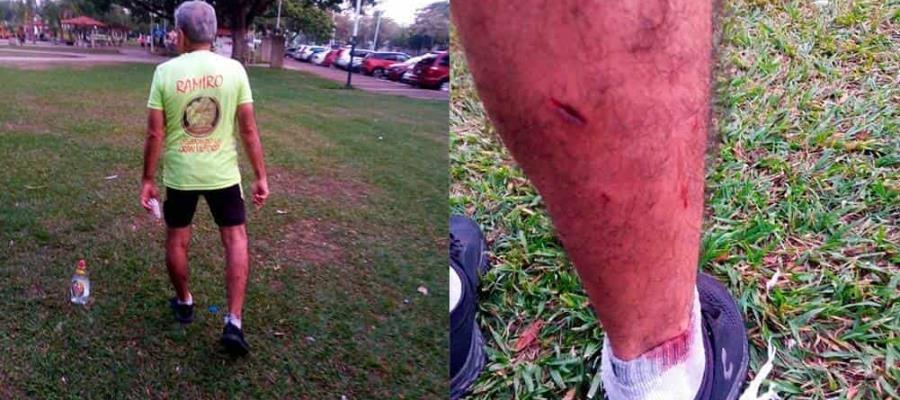 Atacan “perros callejeros” a ciclista en las inmediaciones del parque La Choca
