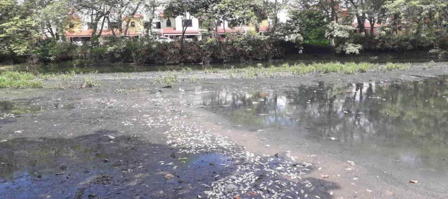 Revela alcaldesa que rescate del vaso Cencali tendrá inversión de 17 mdp