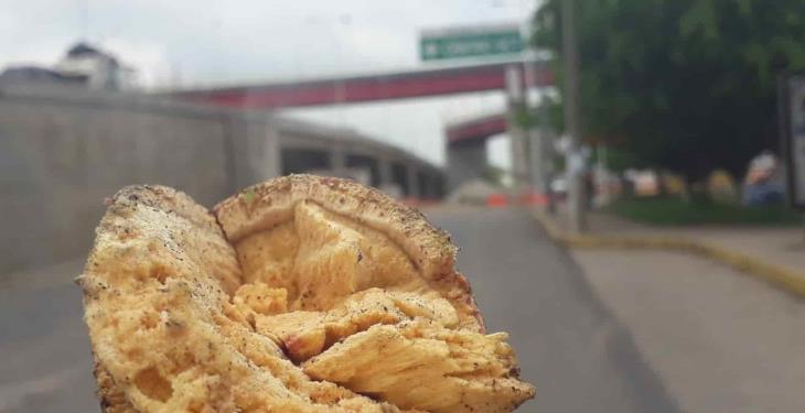 Derribarán 58 árboles en Ruiz Cortines previo a inicio de 3era etapa del distribuidor Universidad