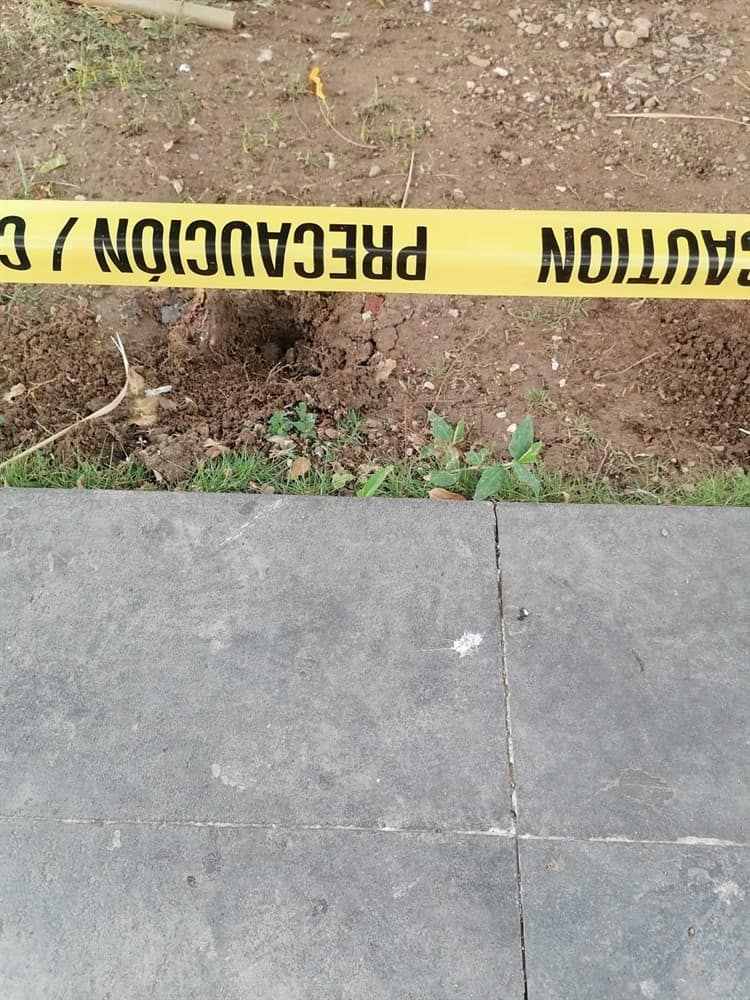 imagen-cuerpo imagen-cuerpo