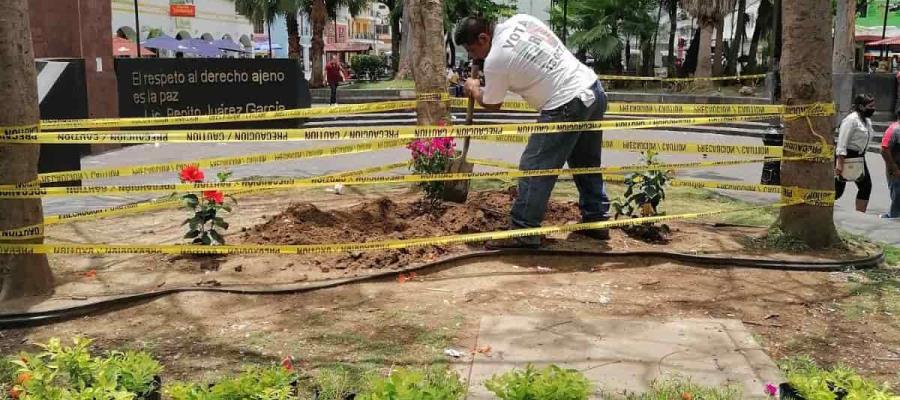 Vandalizan parque Juárez; comerciantes lo habían rehabilitado Vandalizan parque Juárez; comerciantes lo habían rehabilitado