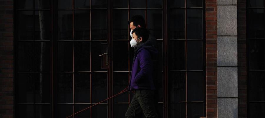 Investigadores españoles detectan primer caso de una mascota infectada con la variante británica