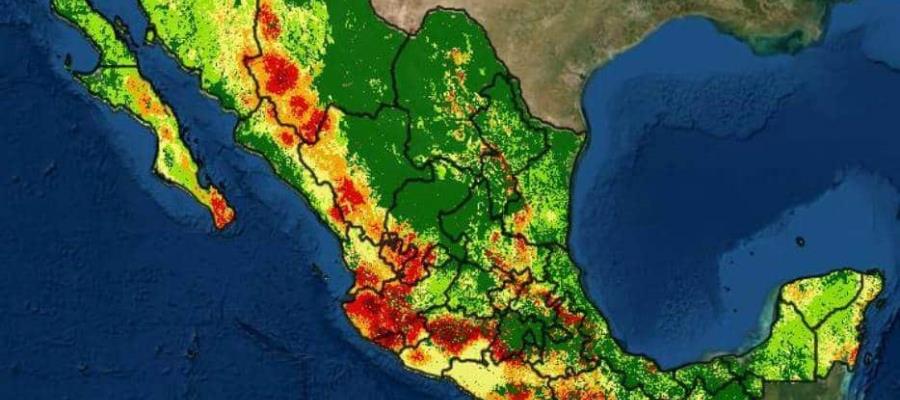 Suman 22 mil hectáreas afectadas por los incendios activos en el país