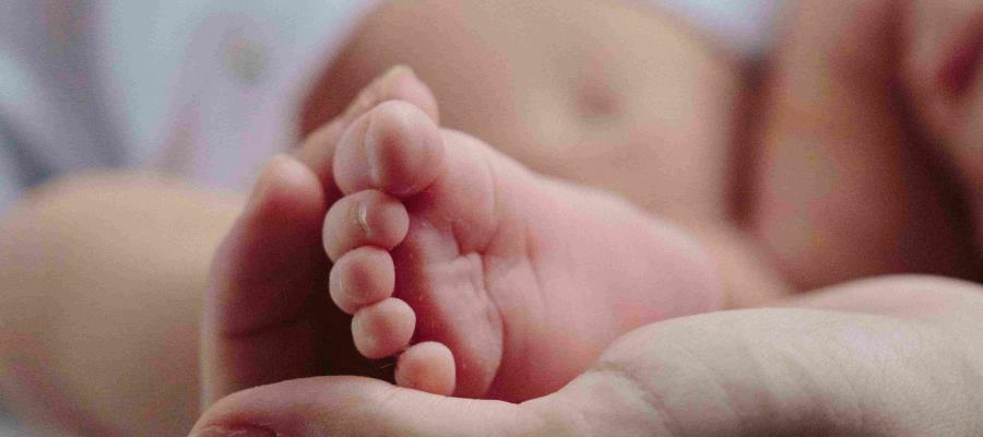 59 nacimientos por vientre subrogado registra Tabasco