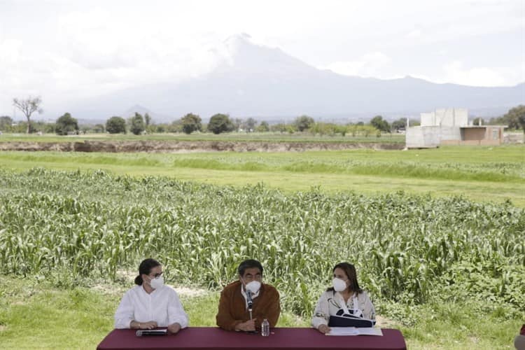 imagen-cuerpo imagen-cuerpo