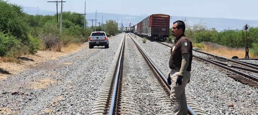 Expulsiones rápidas o juicios, opciones de la Patrulla Fronteriza ante el creciente aumento de cruces ilegales Expulsiones rápidas o juicios, opciones de la Patrulla Fronteriza ante el creciente aumento de cruces ilegales