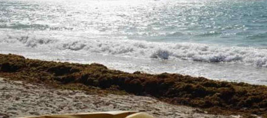 Se hunde embarcación sargacera de la Marina en Playa del Carmen Se hunde embarcación sargacera de la Marina en Playa del Carmen