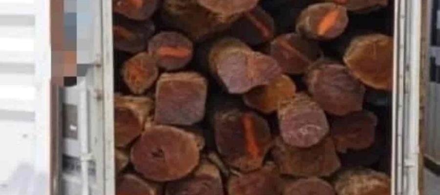 Asegura FGR 27 contenedores con madera; pretendía ser exportada ilegalmente a China