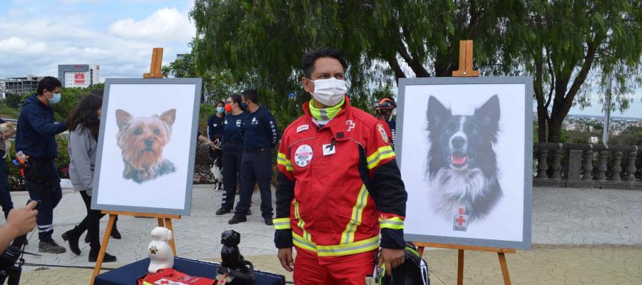 Dan último adiós a Athos y Tango, los dos perros rescatistas de la Cruz Roja que fueron envenenados