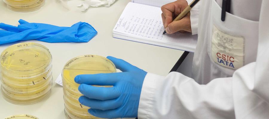 Existen anticuerpos contra COVID-19 en leche materna de vacunadas, revela estudio en España Existen anticuerpos contra COVID-19 en leche materna de vacunadas, revela estudio en España