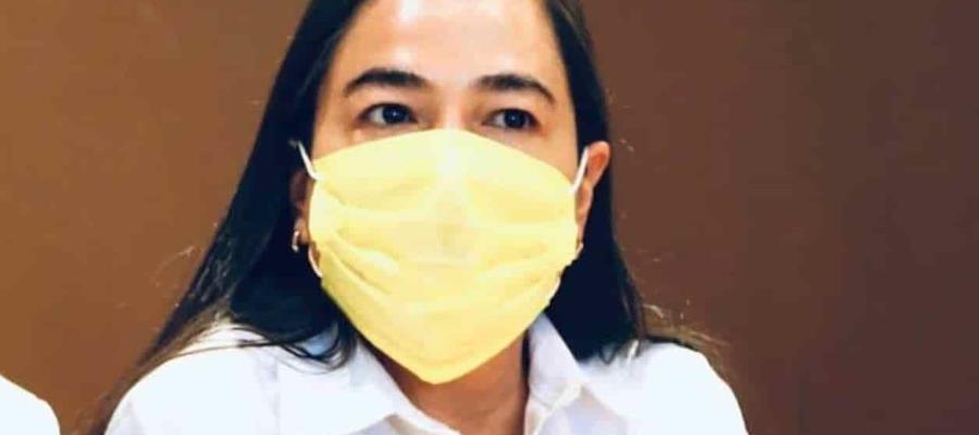 Diputados federales del PRD piden investigar presuntas irregularidades de Irma Eréndira Sandoval al frente de la SFP