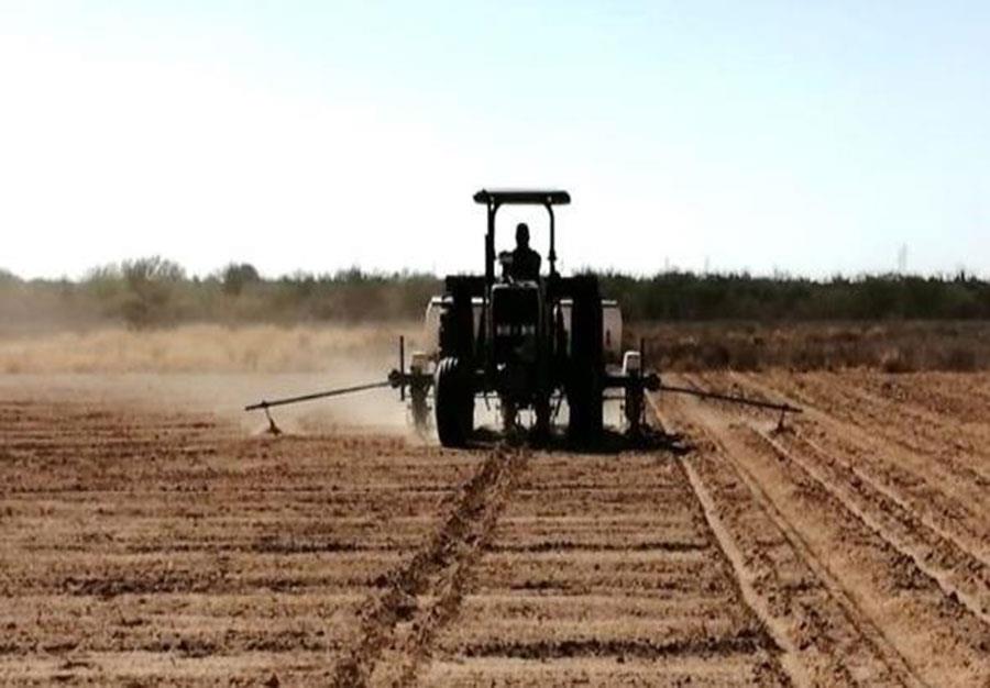 Destinará Sader apoyo de 299 mdp a productores por sequía en México