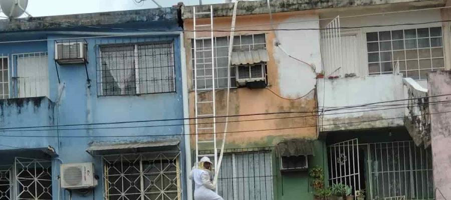 Pican abejas africanas a dos personas en Parrilla; mujer resulta con crisis nerviosa