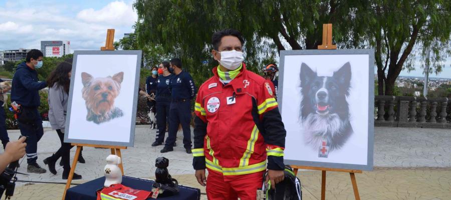 Fiscalía de Querétaro detiene a presunto responsable de la muerte de los perritos rescatistas Athos y Tango